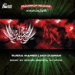 Ali Afzal Songs MP3 Download